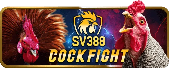 Hoàn trả hàng ngày QQ188 Code